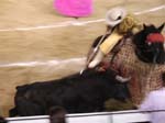 Bullfight-069